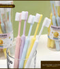 [BUY 2 GET FREE 1] 10pcs Disposable Toothbrush Set | Soft 0.18mm Bristles | Travel-Friendly & Hygienic | Pastel Colours | Easy to Use