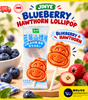 JINYE Blueberry Hawthorn Lollipops | Individually Wrapped Fruit Snack