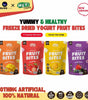 Hey! Chips 100% Yogurt Fruit Bites Bundle – 4 Flavours | Freeze‑Dried Real Yogurt | No Sugar, Halal